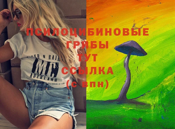 2c-b Баксан